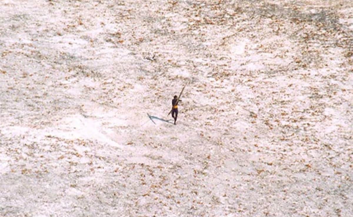 US Tourist Arrested For Entering North Sentinel Island Granted Bail
